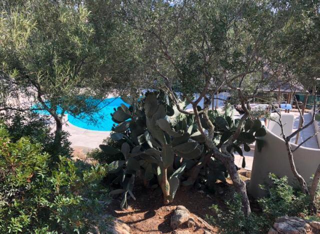 Porto Rotondo *