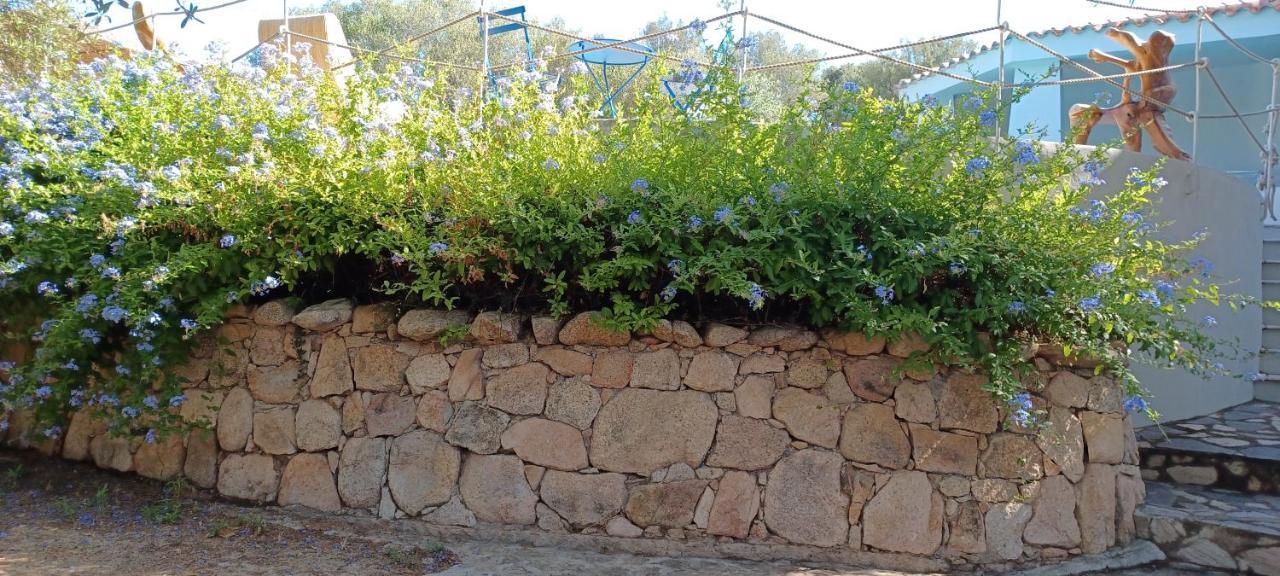 Holiday home Porto Rotondo *