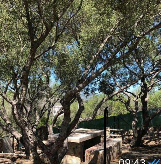 Casa vacanze Porto Rotondo Olbia